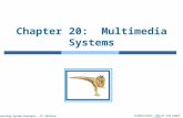 Chapter 20:  Multimedia Systems