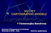 3D CITY CARTOGRAPHIC  MODELS