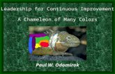 Leadership for Continuous Improvement A Chameleon of Many Colors