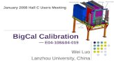 BigCal Calibration                     E04-108&04-019