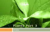 Plants Part 3