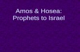 Amos & Hosea:  Prophets to Israel