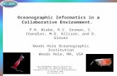 Oceanographic Informatics in a Collaborative Environment.