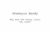 Shadayia Bandy