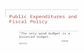 Public Expenditures and Fiscal Policy