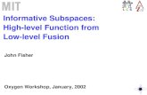 Informative Subspaces:  High-level Function from  Low-level Fusion