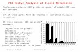 V18 EcoCyc Analysis of E.coli Metabolism