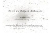 FU  Ori  and Outburst Mechanisms