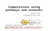 Computations using pathways and networks