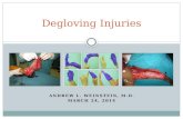 Degloving Injuries