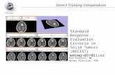 Standard Response Evaluation Criteria in Solid Tumors (RECIST)        using 3D Slicer