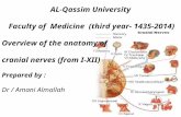 AL-Qassim University  Faculty of  Medicine  (third year- 1435-2014) Overview of the anatomy of