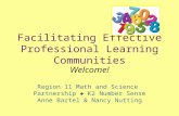 Facilitating Effective Professional Learning Communities