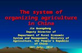 The system of organizing agriculture in China