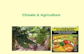 Climate & Agriculture