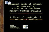 Neuronal basis of natural textures coding in area V4 of the awake monkey: texture analysis