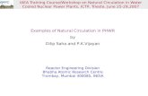 Examples of Natural Circulation in PHWR by Dilip Saha and P.K.Vijayan