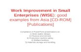 Work Improvement in Small Enterprises  ( WISE ): good examples from Asia [CD-ROM] [Publications]
