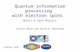 Quantum information processing  with electron spins 