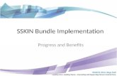 SSKIN Bundle Implementation