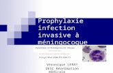 Prophylaxie infection invasive à méningocoque