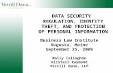 DATA SECURITY REGULATION, IDENTITY THEFT, AND PROTECTION OF PERSONAL INFORMATION