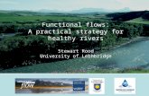 Functional flows: A practical strategy for healthy rivers Stewart Rood University of Lethbridge