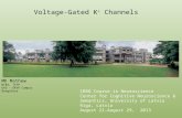 Voltage-Gated K +  Channels