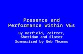 Presence and Performance Within VEs