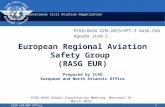 European Regional Aviation Safety Group  (RASG EUR)