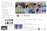 New at  RSNA 2012:  Version  4.2 Slicer Extensions M ultivolume support (time series) C harts