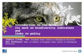 Introduction to the EEA its work on biodiversity indicators and links to policy