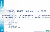 TIGGE, TIGGE LAM and the GIFS T. Paccagnella  (1), D. Richardson (2), D. Schuster(3),