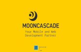 Priit Salumaa Co-founder @Mooncascade Setting up & Delivering Your Project