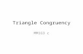 Triangle Congruency