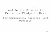 Module J – Promise to Protect – Pledge to Heal For Seminaries, Parishes, and Dioceses