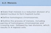 4.2: Meiosis