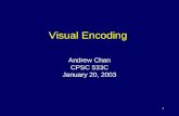 Visual Encoding