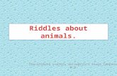 Riddles about animals.