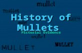 History of Mullets