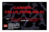 CANCER –  CELLS GONE WILD!