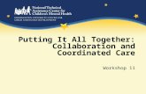 Putting It All Together: Collaboration and Coordinated Care