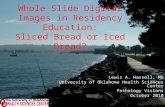 Whole Slide Digital Images in Residency Education: Sliced Bread or Iced Dread?