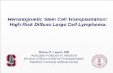 Hematopoietic Stem  Cell  Transplantation: High Risk Diffuse Large Cell Lymphoma: