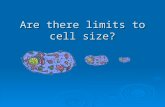 Are there limits to cell size?