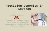 Precision Genomics in Soybean