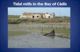 Tidal mills  in the Bay of  Cádiz