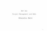 MGT 461 Project  Management  and NGOs
