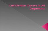 Cell Division Occurs in All Organisms