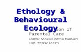 The Evolution of  Parental Care Chapter 12 Alcock (Animal Behavior) Tom Wenseleers